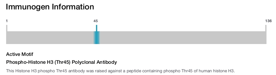 Phospho-Histone H3 (Thr45) Polyclonal Antibody
