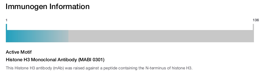 Histone H3 Monoclonal Antibody (MABI 0301)