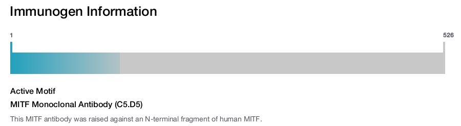 MITF Monoclonal Antibody (C5.D5)