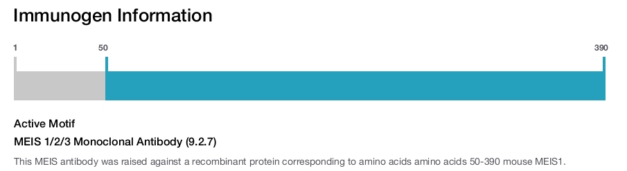MEIS 1/2/3 Monoclonal Antibody (9.2.7)