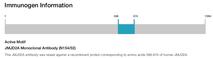 JMJD2A Monoclonal Antibody (N154/32)