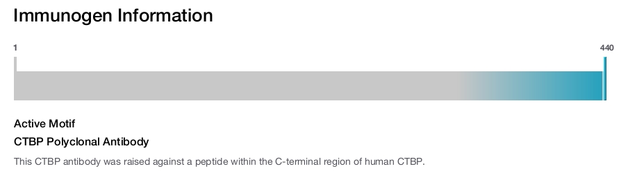 CTBP Polyclonal Antibody