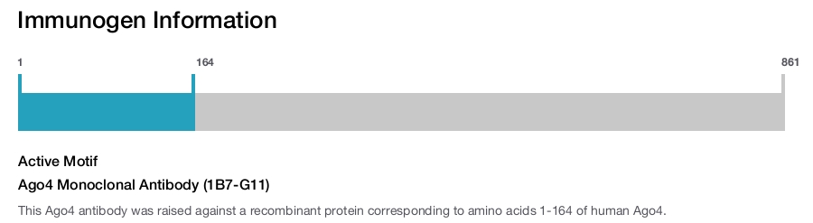 Ago4 Monoclonal Antibody (1B7-G11)