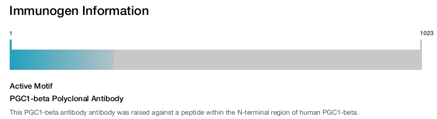 PGC1-beta Polyclonal Antibody