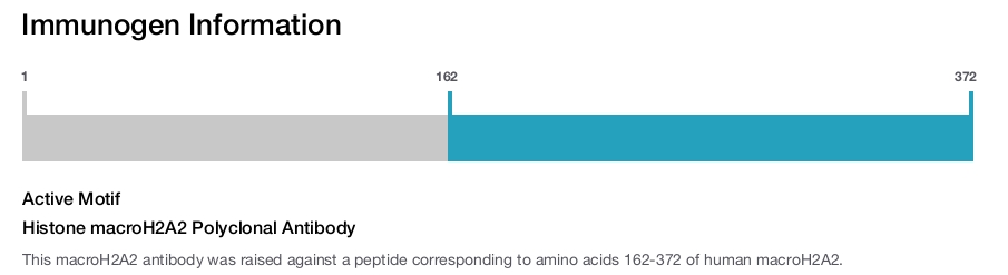 Histone macroH2A2 Polyclonal Antibody