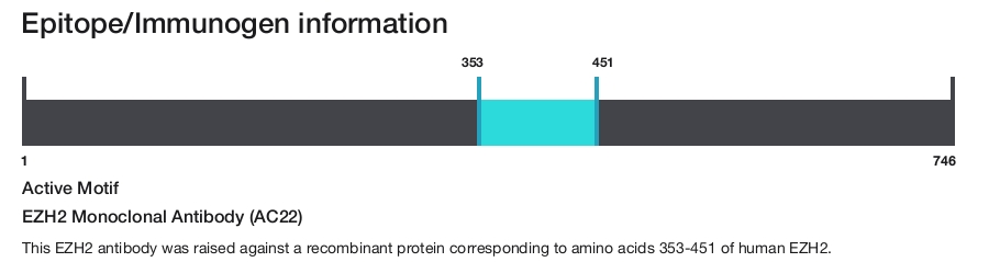 EZH2 Monoclonal Antibody (AC22)