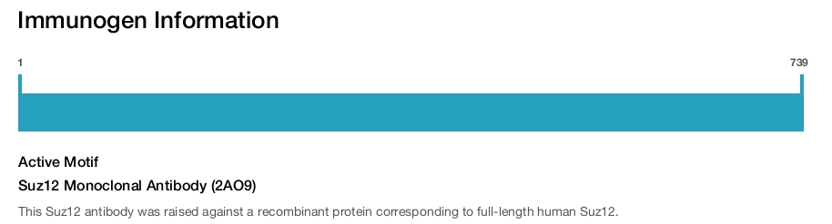 Suz12 Monoclonal Antibody (2AO9)