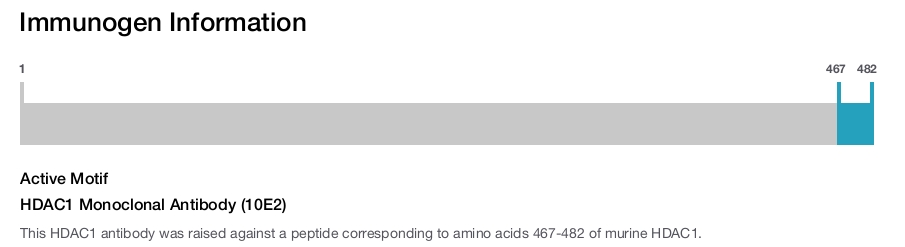 HDAC1 Monoclonal Antibody (10E2)