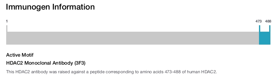 HDAC2 Monoclonal Antibody (3F3)