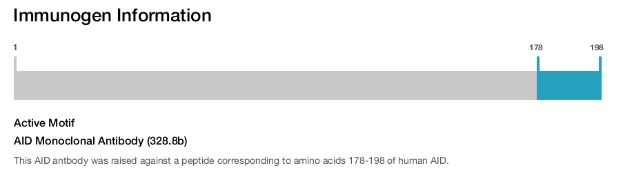 AID Monoclonal Antibody (328.8b)