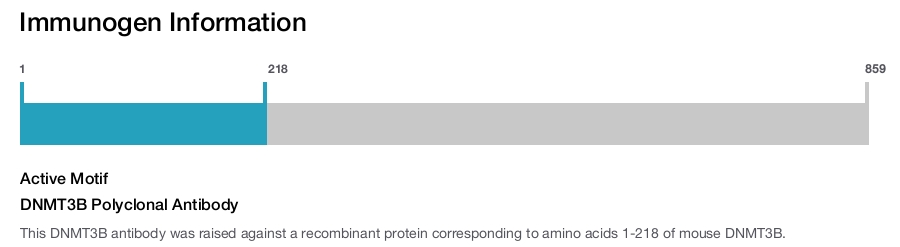 DNMT3B Polyclonal Antibody