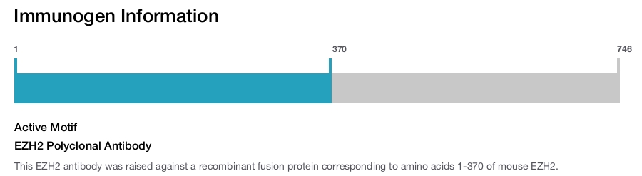 EZH2 Polyclonal Antibody