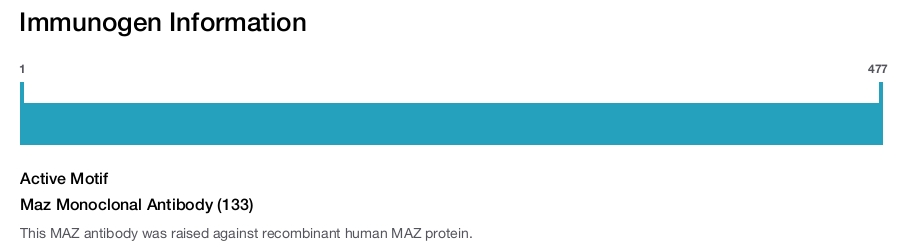 Maz Monoclonal Antibody (133)