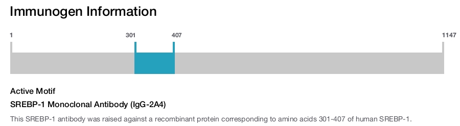 SREBP-1 Monoclonal Antibody (IgG-2A4)