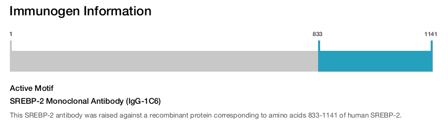 SREBP-2 Monoclonal Antibody (IgG-1C6)