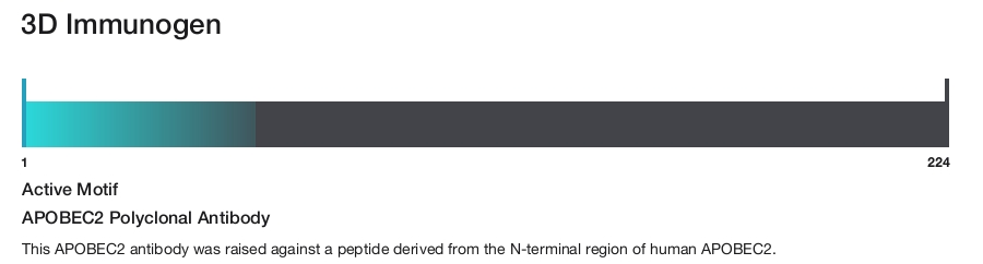 APOBEC2 Polyclonal Antibody