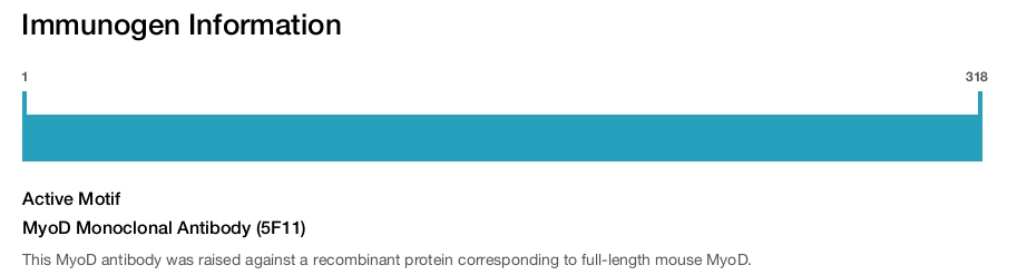 MyoD Monoclonal Antibody (5F11)