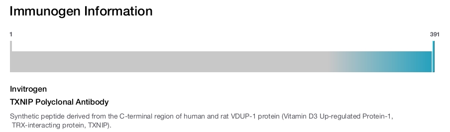 TXNIP Polyclonal Antibody