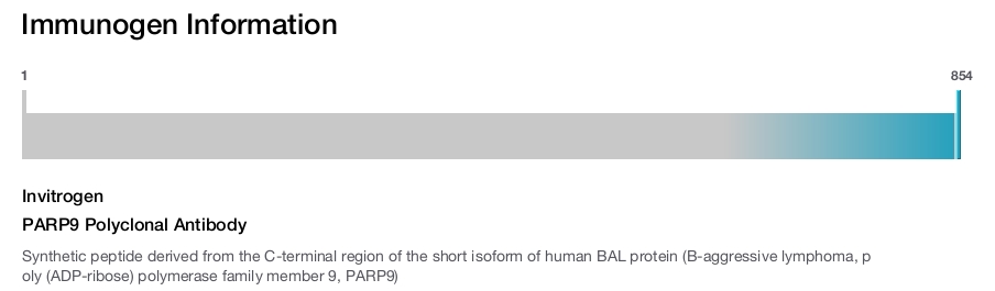 PARP9 Polyclonal Antibody