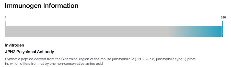 JPH2 Polyclonal Antibody