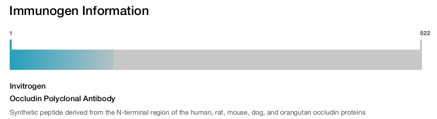 Occludin Polyclonal Antibody