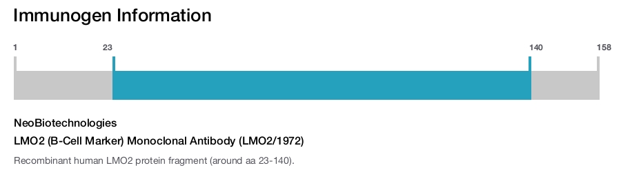 LMO2 (B-Cell Marker) Monoclonal Antibody (LMO2/1972)