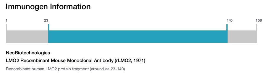 LMO2 Recombinant Mouse Monoclonal Antibody (rLMO2, 1971)