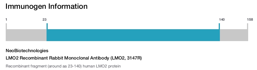 LMO2 Recombinant Rabbit Monoclonal Antibody (LMO2, 3147R)