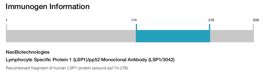 Lymphocyte Specific Protein 1 (LSP1)/pp52 Monoclonal Antibody (LSP1/3042)