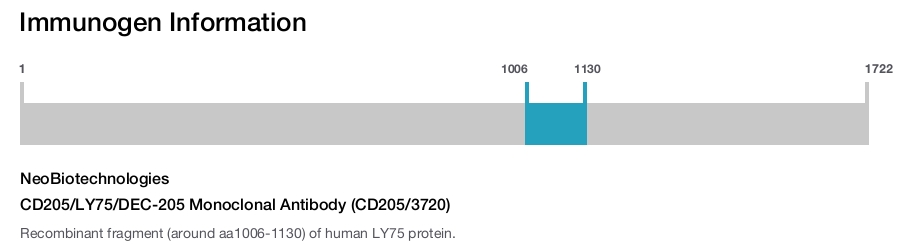 CD205/LY75/DEC-205 Monoclonal Antibody (CD205/3720)