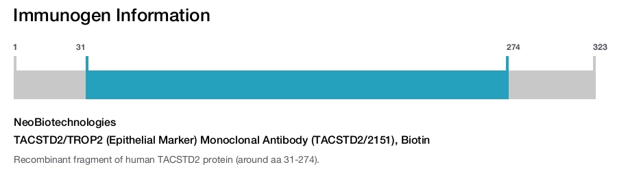 TACSTD2/TROP2 (Epithelial Marker) Monoclonal Antibody (TACSTD2/2151), Biotin