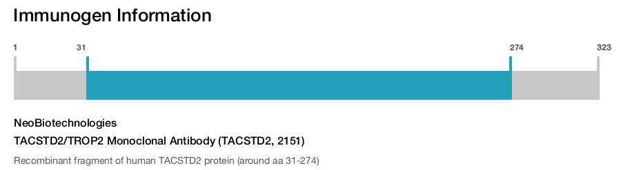 TACSTD2/TROP2 Monoclonal Antibody (TACSTD2, 2151)