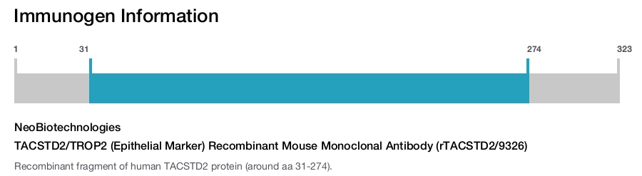 TACSTD2/TROP2 (Epithelial Marker) Recombinant Mouse Monoclonal Antibody (rTACSTD2/9326)