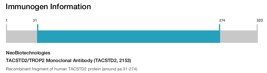 TACSTD2/TROP2 Monoclonal Antibody (TACSTD2, 2153)