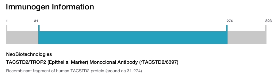 TACSTD2/TROP2 (Epithelial Marker) Monoclonal Antibody (rTACSTD2/6397)