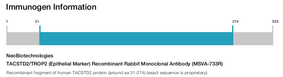 TACSTD2/TROP2 (Epithelial Marker) Recombinant Rabbit Monoclonal Antibody (MSVA-733R)