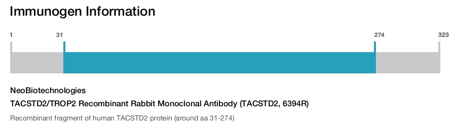 TACSTD2/TROP2 Recombinant Rabbit Monoclonal Antibody (TACSTD2, 6394R)