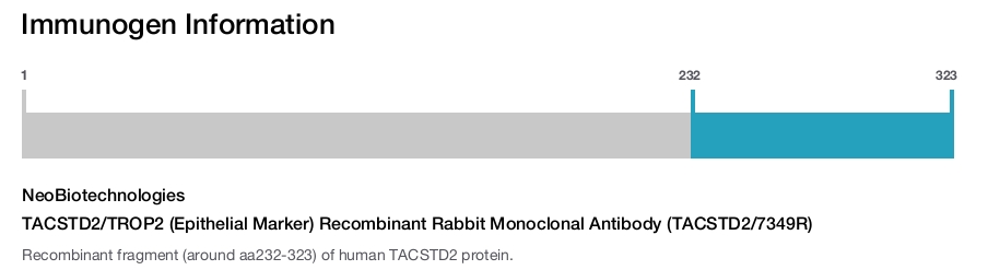 TACSTD2/TROP2 (Epithelial Marker) Recombinant Rabbit Monoclonal Antibody (TACSTD2/7349R)
