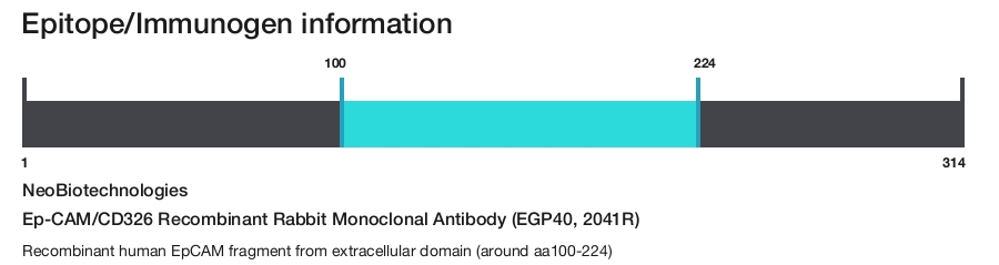 Ep-CAM/CD326 Recombinant Rabbit Monoclonal Antibody (EGP40, 2041R)