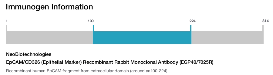 EpCAM/CD326 (Epithelial Marker) Recombinant Rabbit Monoclonal Antibody (EGP40/7025R)