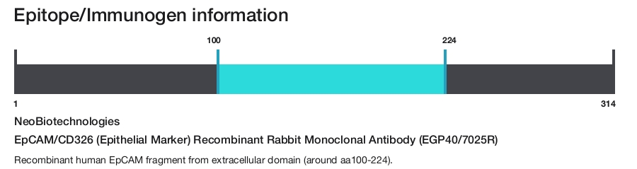 EpCAM/CD326 (Epithelial Marker) Recombinant Rabbit Monoclonal Antibody (EGP40/7025R)