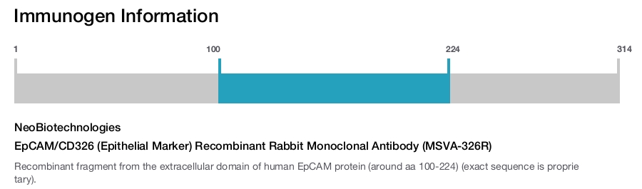EpCAM/CD326 (Epithelial Marker) Recombinant Rabbit Monoclonal Antibody (MSVA-326R)