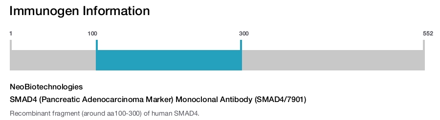 SMAD4 (Pancreatic Adenocarcinoma Marker) Monoclonal Antibody (SMAD4/7901)