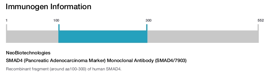 SMAD4 (Pancreatic Adenocarcinoma Marker) Monoclonal Antibody (SMAD4/7903)