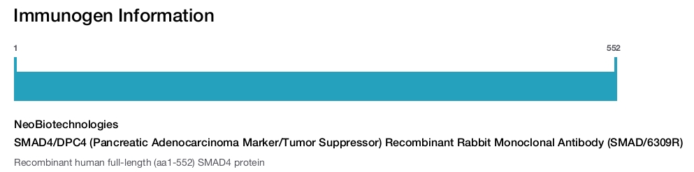 SMAD4/DPC4 (Pancreatic Adenocarcinoma Marker/Tumor Suppressor) Recombinant Rabbit Monoclonal Antibody (SMAD/6309R)