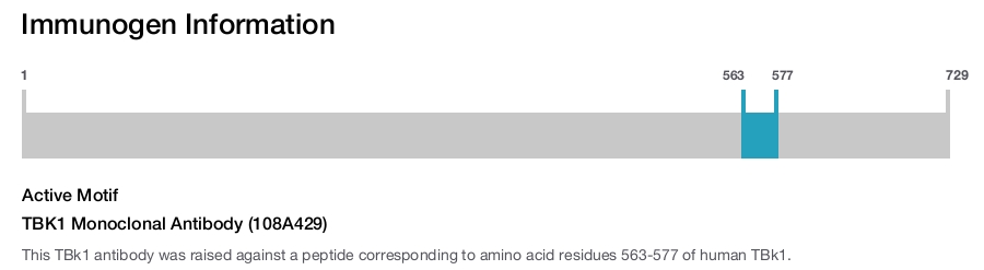 TBK1 Monoclonal Antibody (108A429)