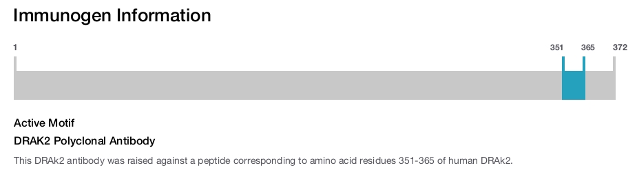 DRAK2 Polyclonal Antibody