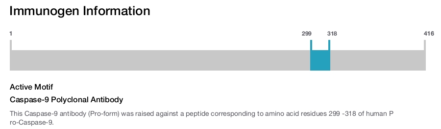 Caspase-9 Polyclonal Antibody