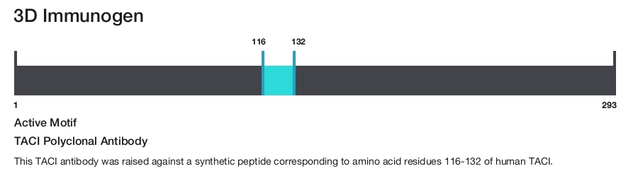 TACI Polyclonal Antibody