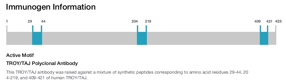 TROY/TAJ Polyclonal Antibody